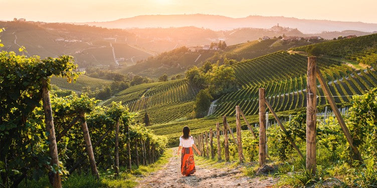 Uncorking the Secrets of Italian Wine: How Italy Can Reign Supreme in the Coming Years